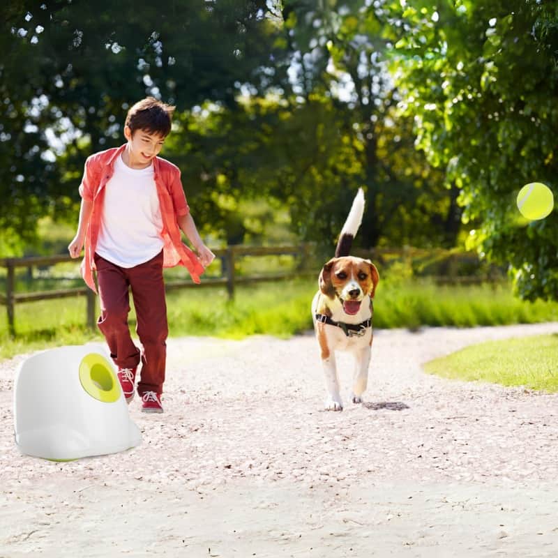 What is a Ball Thrower Machine for Dogs?