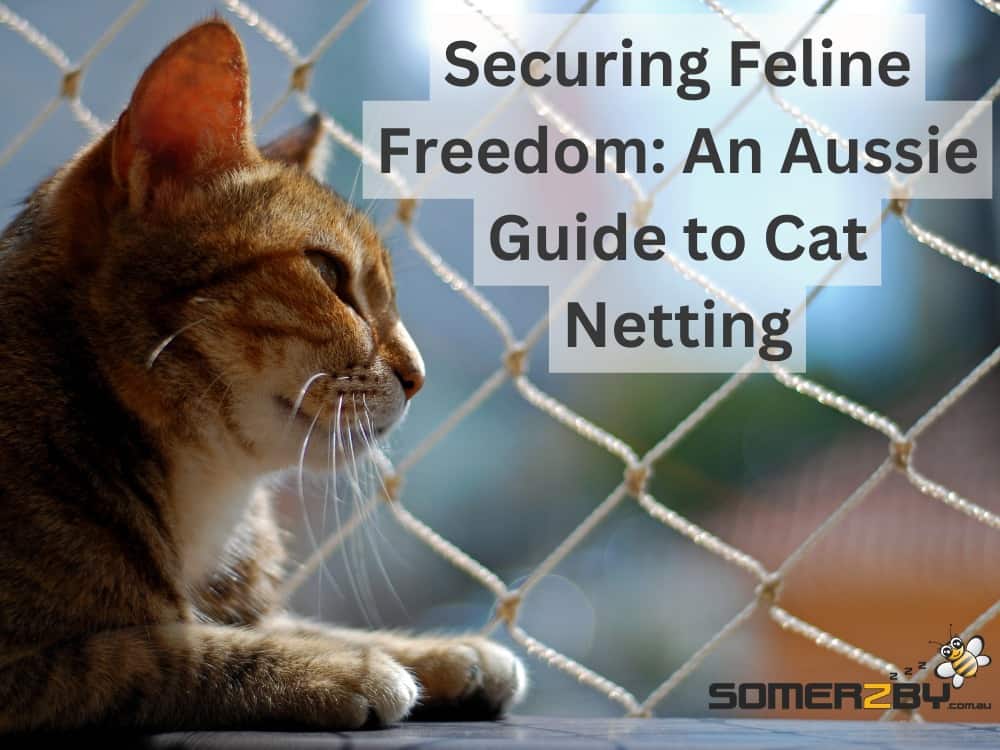 An Aussie Guide to Cat Netting