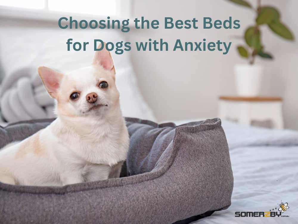 Choosing the Best Beds for Dogs with Anxiety