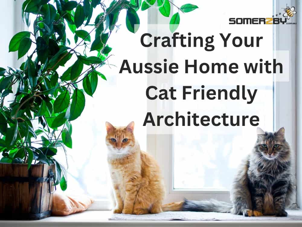 Crafting Your Aussie Home with Cat Friendly Architecture