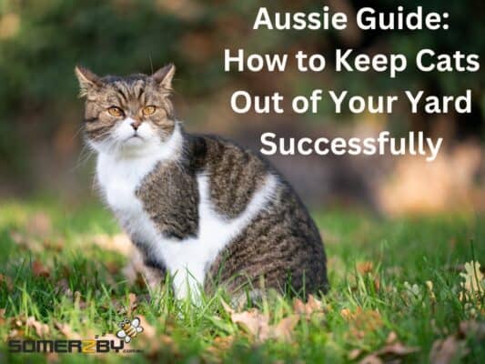 How to Keep Cats Out of Your Yard Successfully