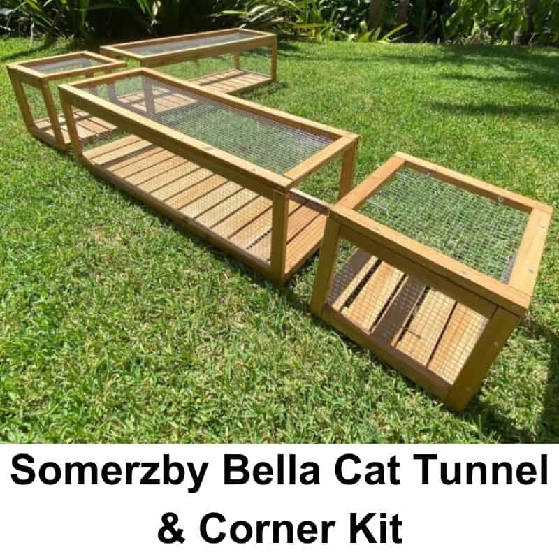 Designing Your Outdoor Cat Tunnel