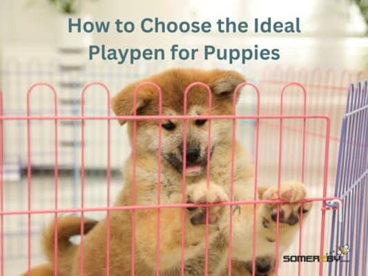 How to Choose the Ideal Playpen for Puppies