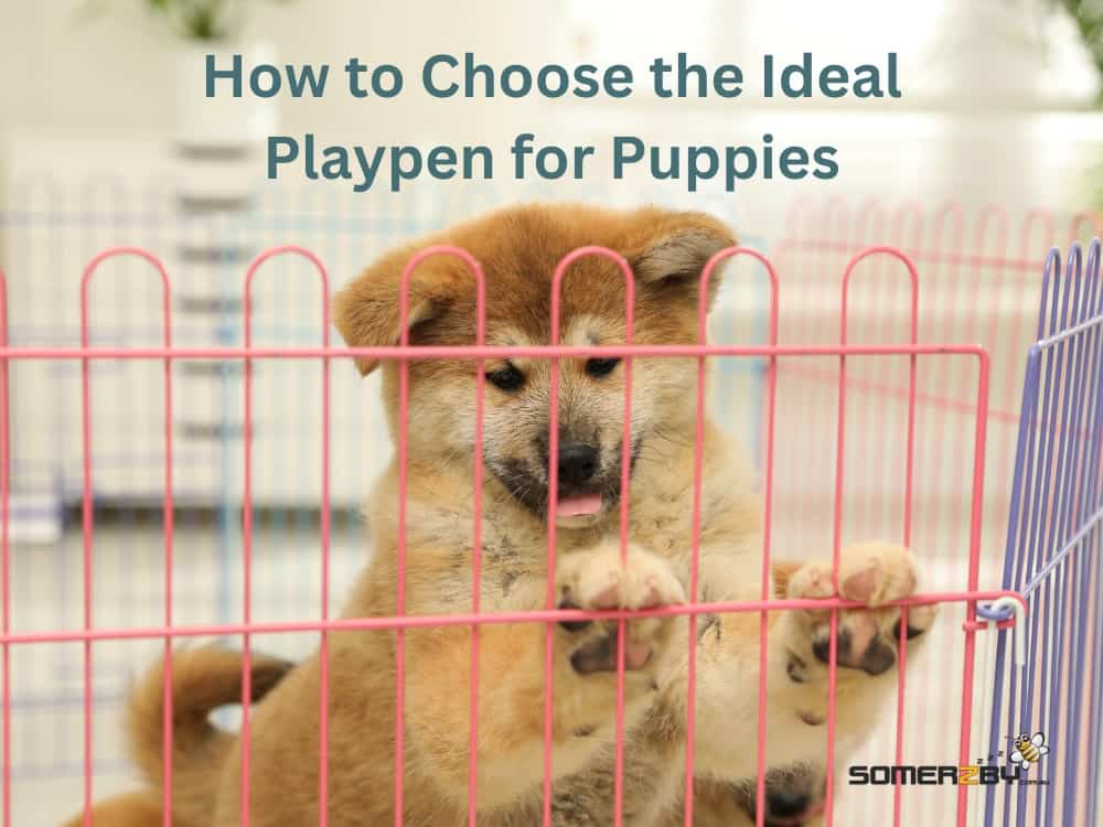 How to Choose the Ideal Playpen for Puppies