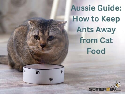 How to Keep Ants Away from Cat Food