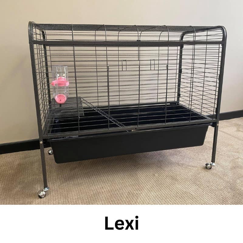 Lexi Rabbit Cage