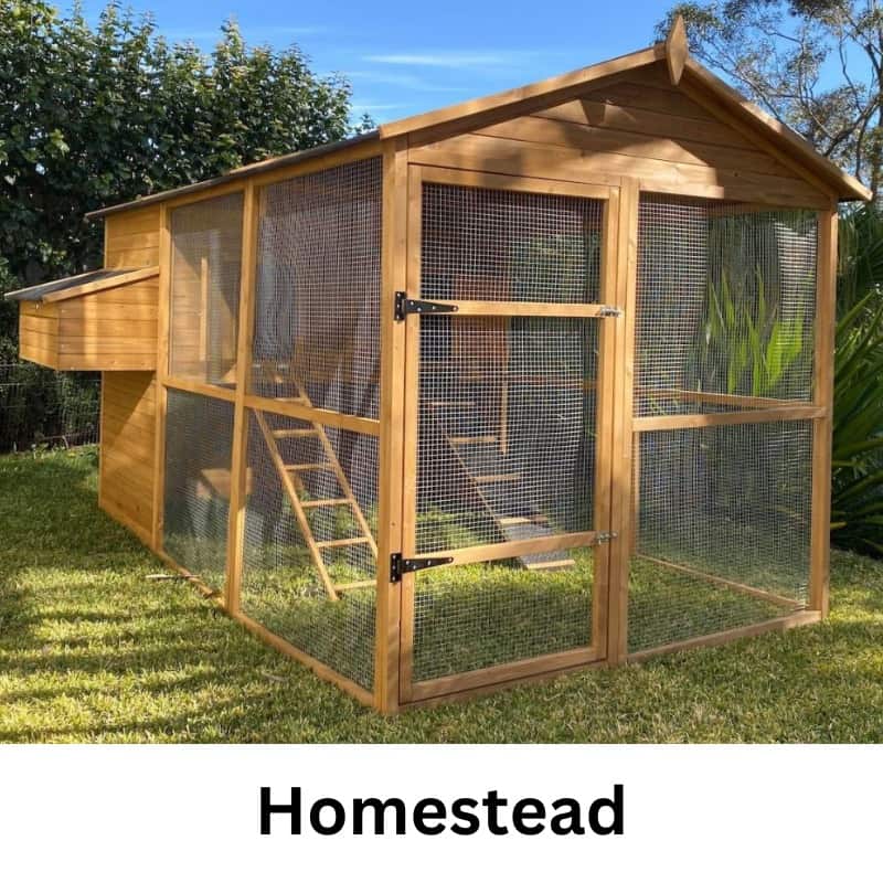 Homestead Chicken Coop