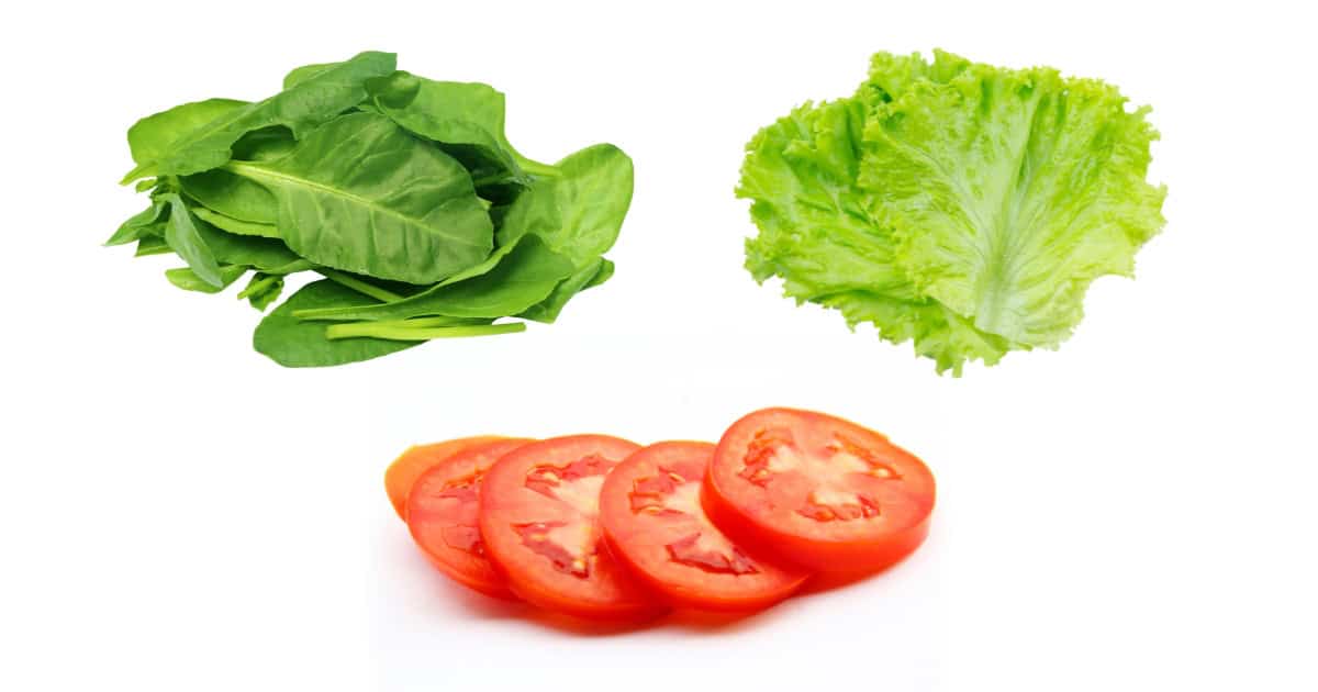 Can rabbits eat spinach lettuce tomato