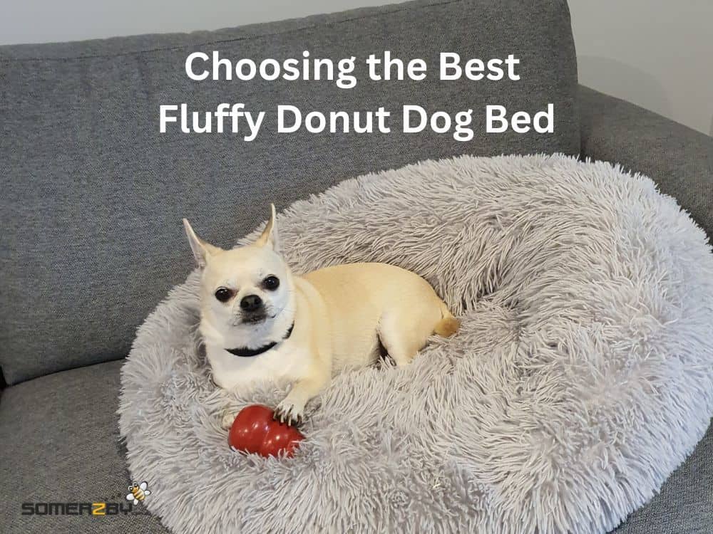 Choosing the Best Fluffy Donut Dog Bed for your Dog