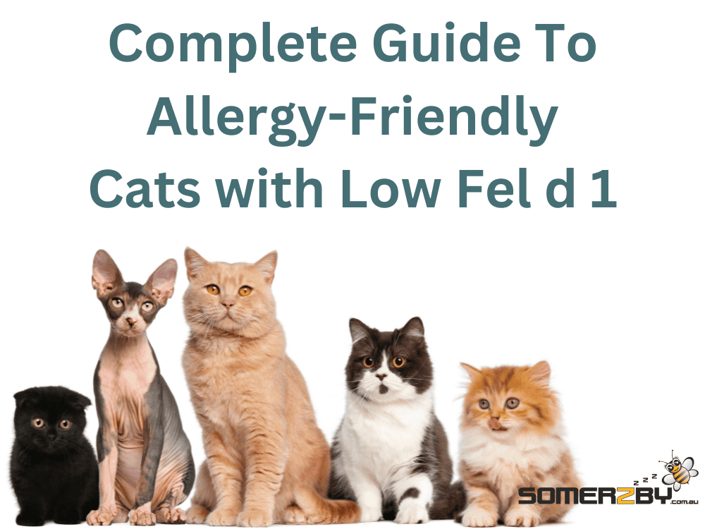 Cats with low fel d1 protein store