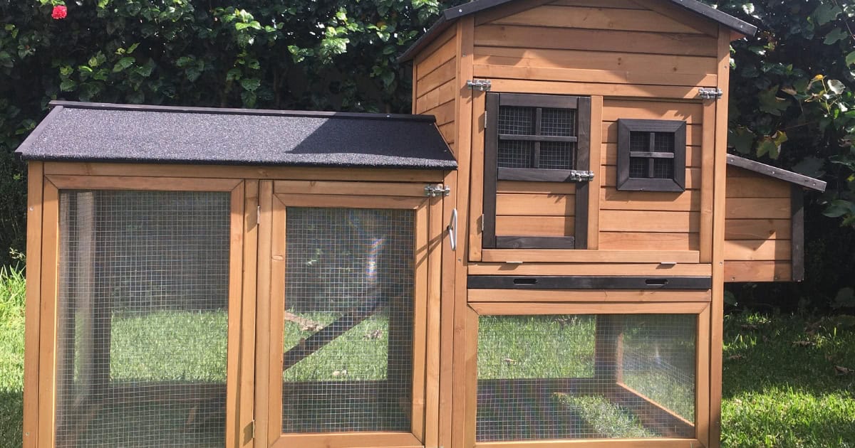 Somerzby Blog Photos - Deluxe Mansion Chicken Coop