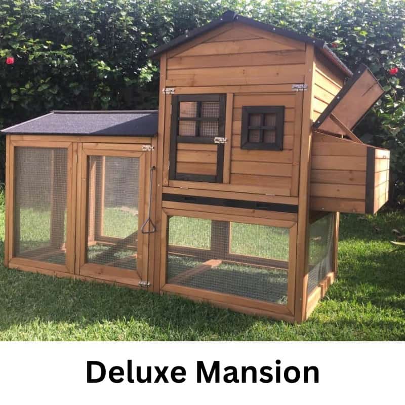 Deluxe Mansion Chicken Coop