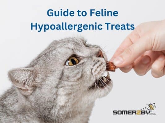 Guide to Feline Hypoallergenic Treats for Aussie Cats