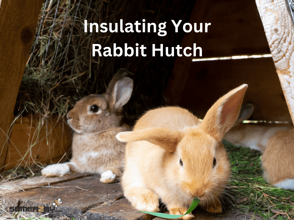 Insulating Your Rabbit Hutch- A Guide for Aussie Pet Owners