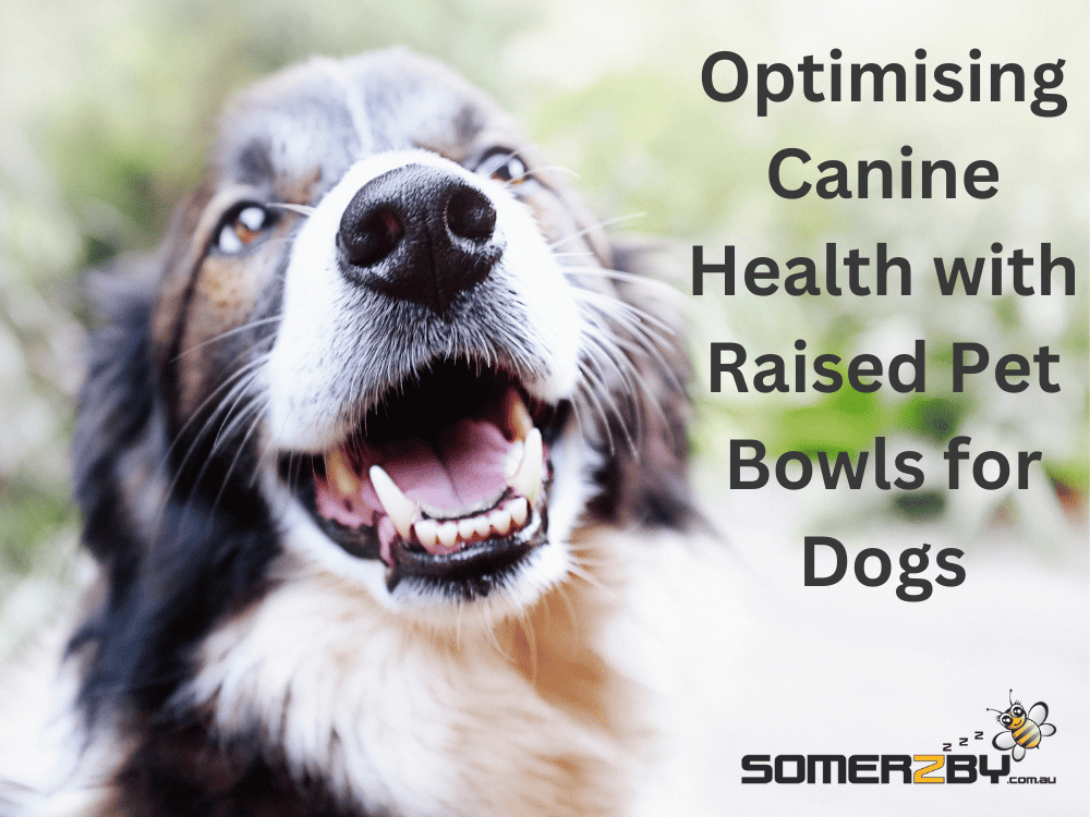 Optimising Canine Health with Raised Pet Bowls for Dogs