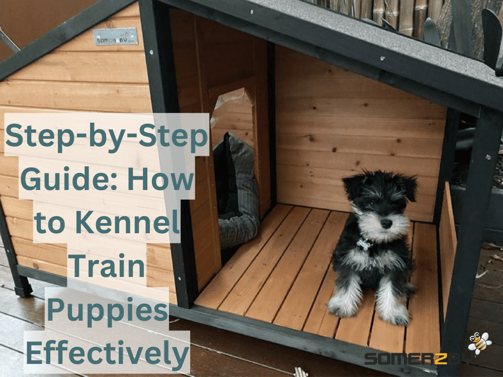 Step-by-Step Guide- How to Kennel Train Puppies Effectively
