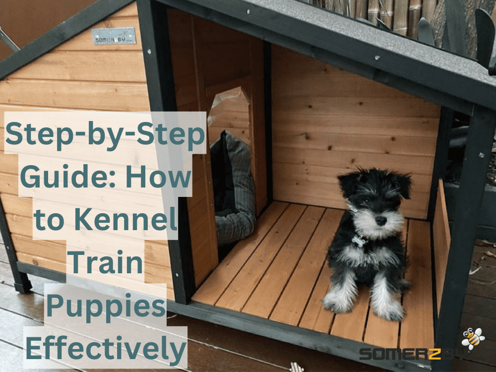 Step by Step Guide How to Kennel Train Puppies Effectively