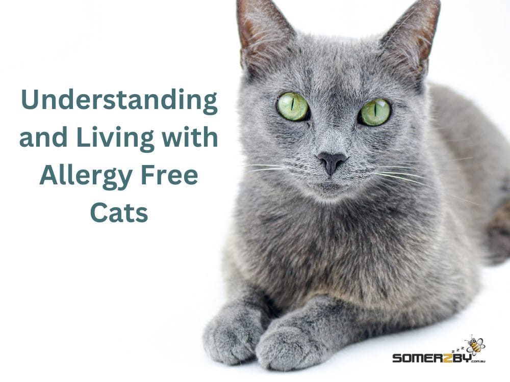 Understanding and Living with Allergy Free Cats