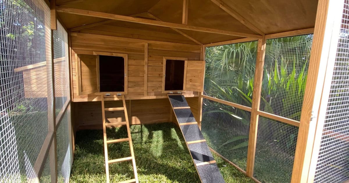 Understanding the Basics of Chicken Coops - Ramps