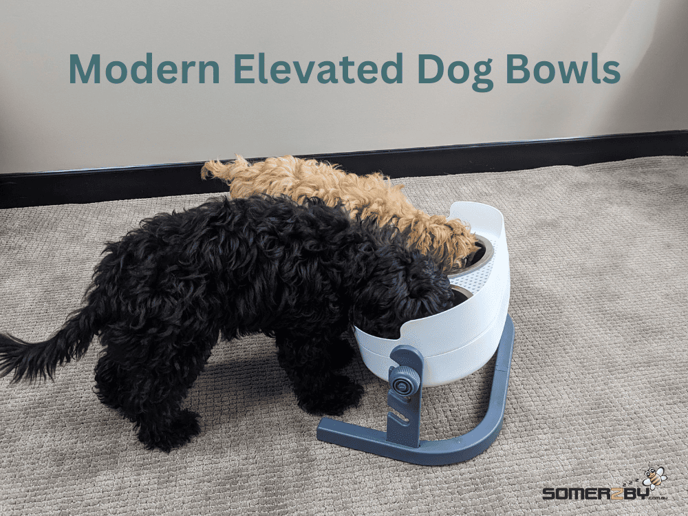 Upgrade Your Pet's Mealtime with Modern Elevated Dog Bowls