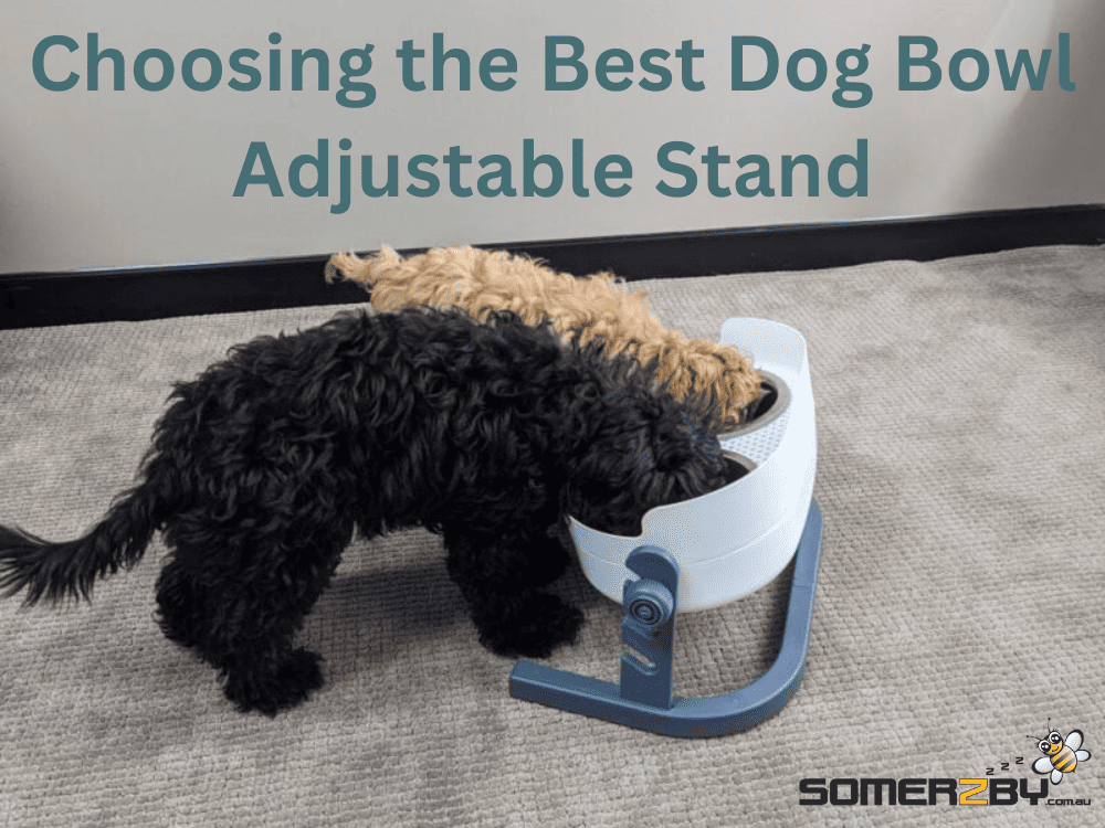 Choosing the Best Dog Bowl Adjustable Stand
