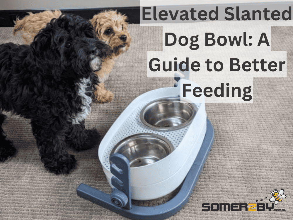 Elevated Slanted Dog Bowl- A Guide to Better Feeding