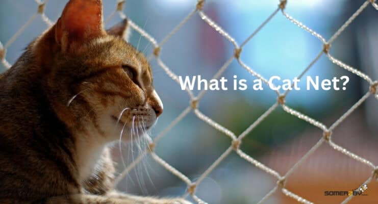 What is a Cat Net