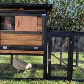 Bungalow Chicken Coop Design