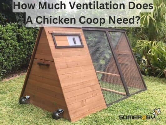 Chickens produce a lot of moisture and ammonia. Every time they breathe and poop, they're adding to the humidity and gas levels in their coop