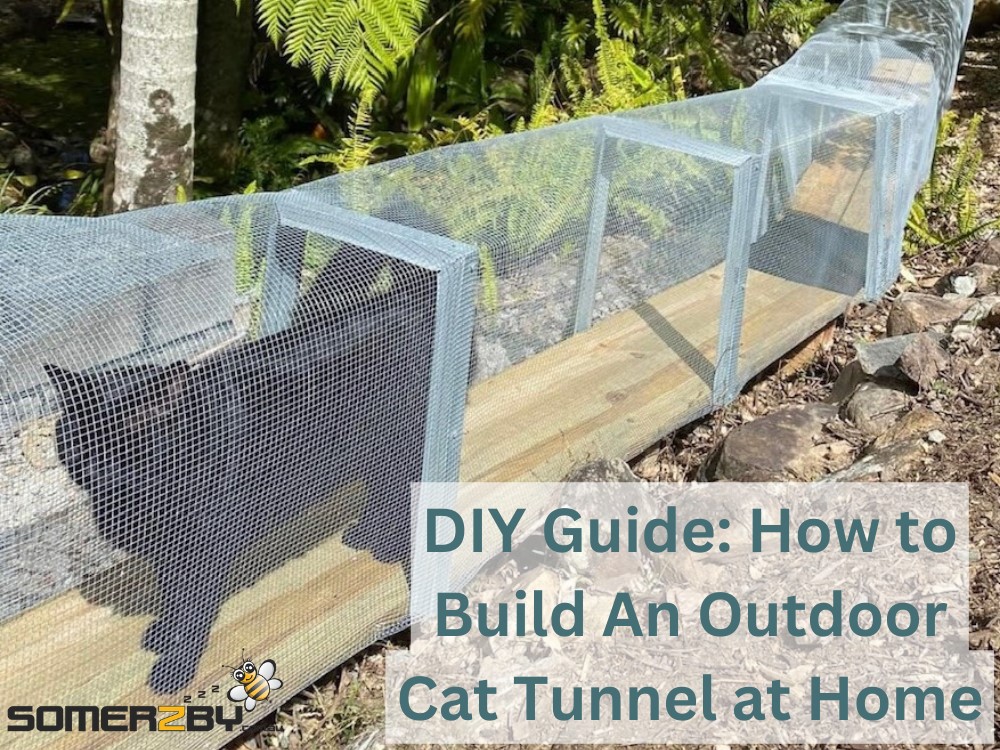 DIY Guide on How to Build Outdoor Cat Tunnel at Home