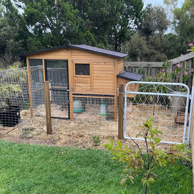 Designing a proper chicken coop is crucial to accommodate the natural behaviours