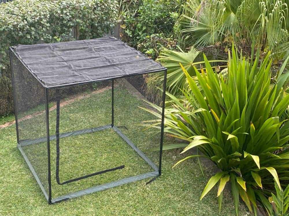 Somerzby catio cheap