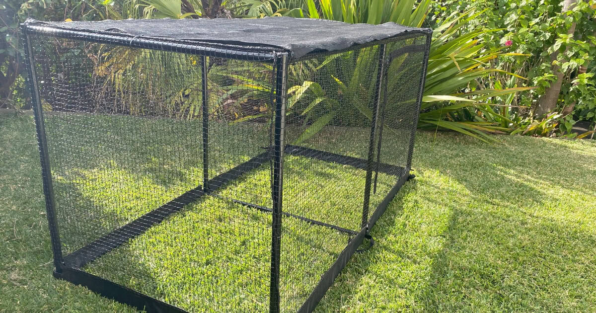 Oasis cat netting