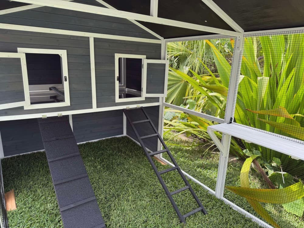 Grey Castle Cat Enclosure - Inside