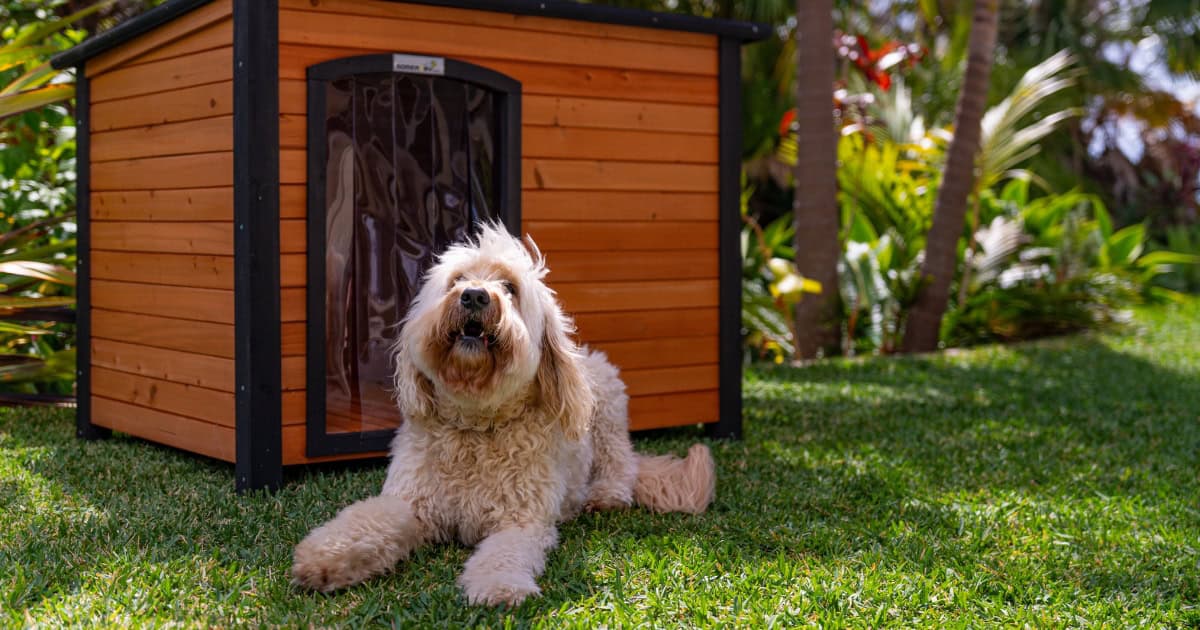 Groodle Somerzby Haven Dog Kennel