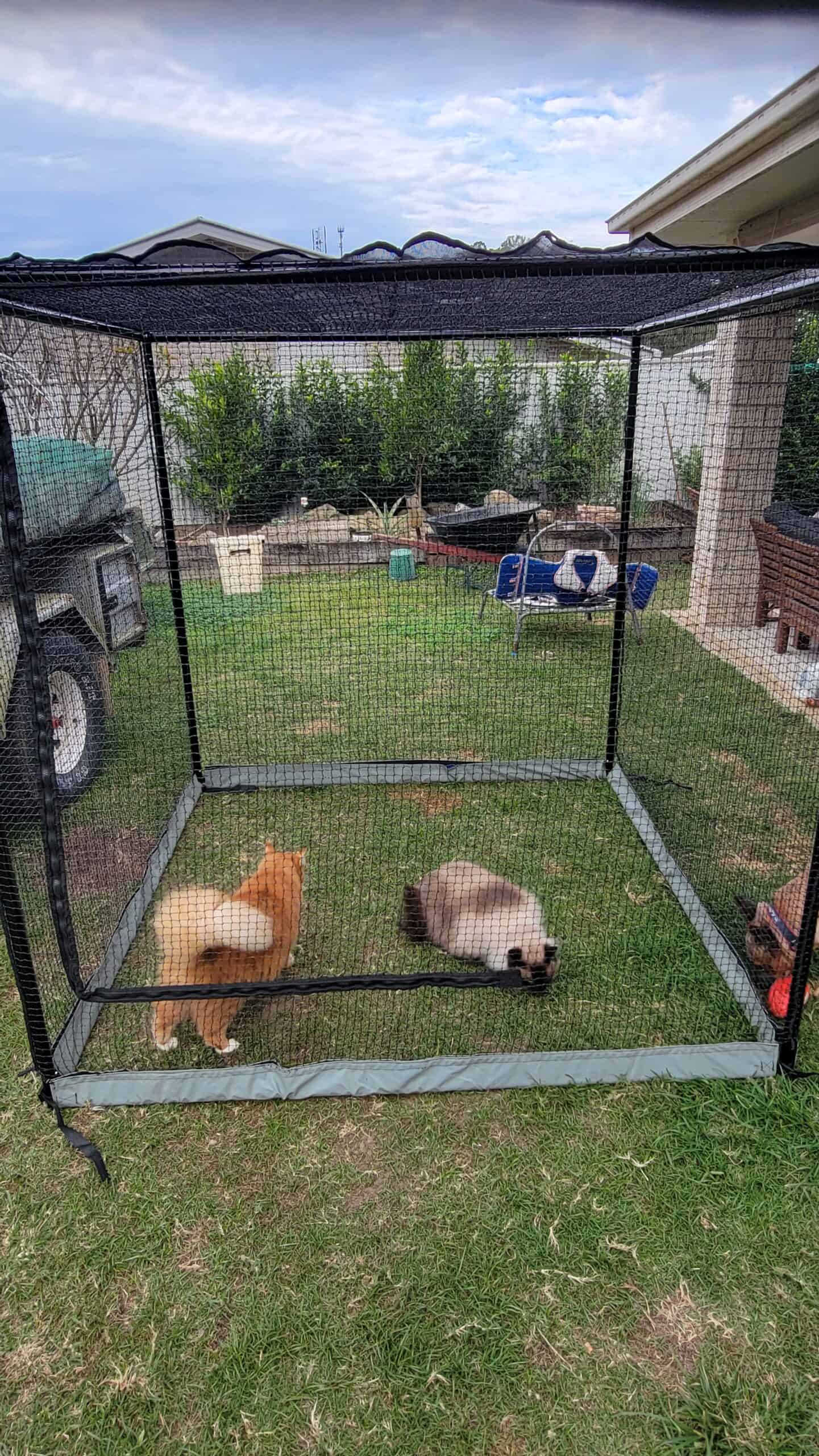 Customer photo Manor Catio