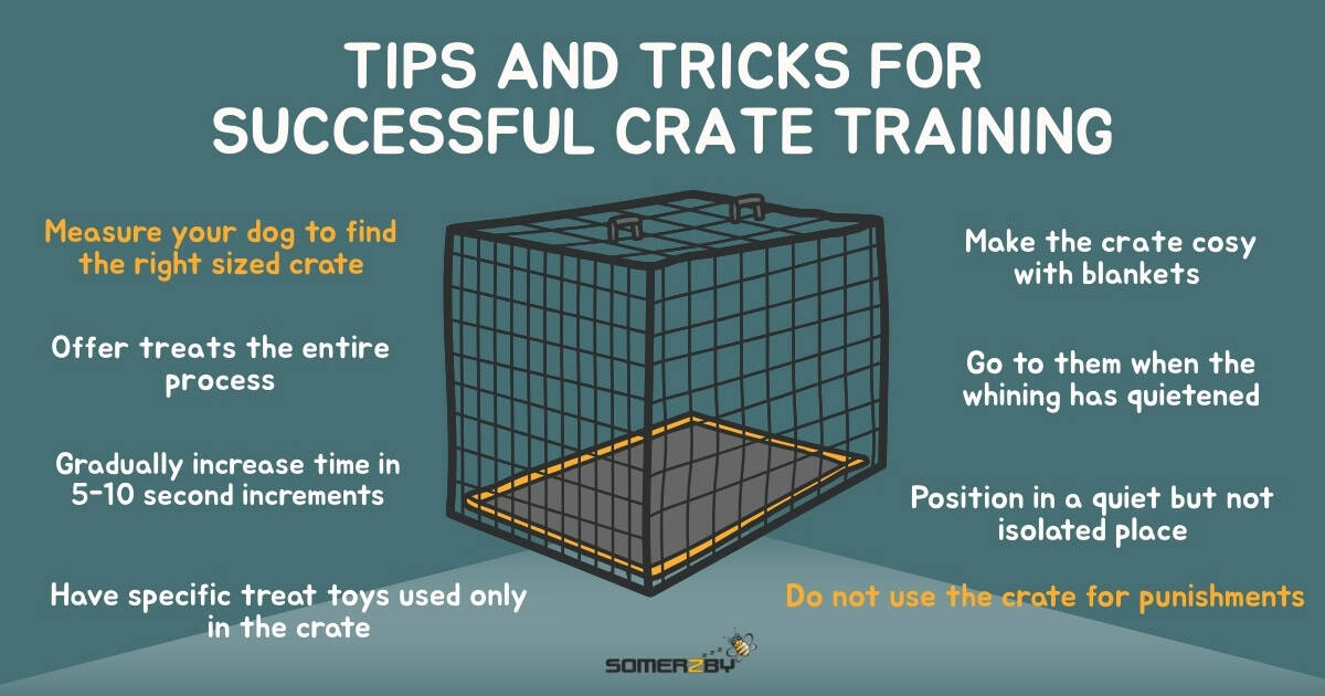 Tips and Tricks for Crate Training Infographic