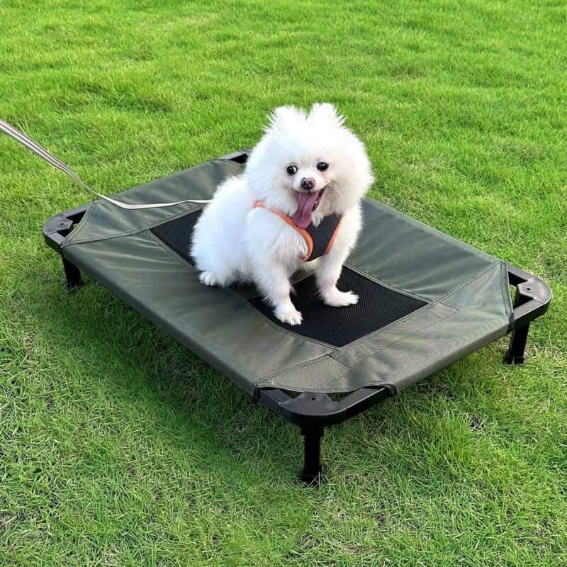 Large Trampoline Dog Bed