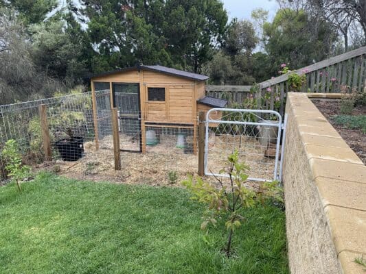 Estate Chicken Coop in a customer's backyard