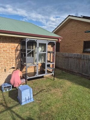 Man assembling a Condo cat enclosure against a brick house.
