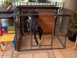 The Retreat - XL Premium Dog Playpen with Roof customer photo