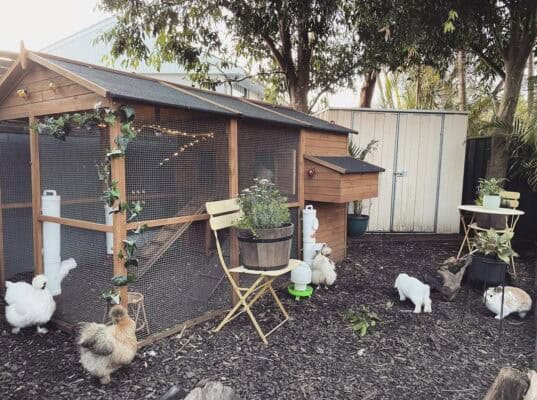 Customer photo Homestead - rabbits chickens fairy lights