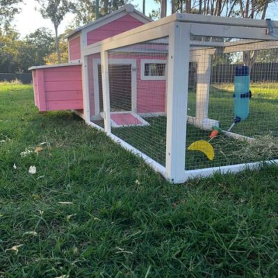 Customer photo - Pink Cottage with guinea pigs