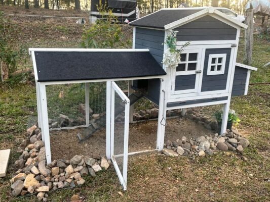 Customer Photo - Grey Mansion Chicken Coop