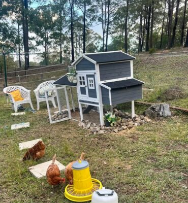 Customer Photo - Grey Mansion Chicken Coop