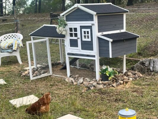 Customer Photo - Grey Mansion Chicken Coop