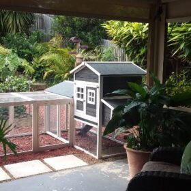 Charcoal Mansion Chicken Coop & Run