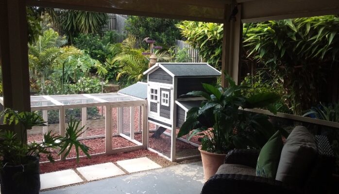 Charcoal Mansion Chicken Coop & Run