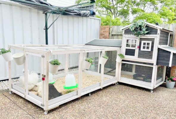 A chicken coop on wheels