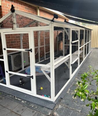 Castle Cat Enclosure and Run outdoors undercover on pavers
